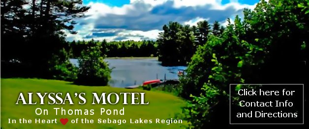Alyssa's Motel  Maine's Sebago Lakes  Area.